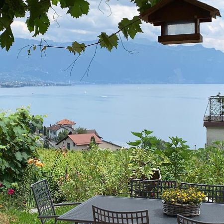 La Gremillette Gourmande Lavaux Apartment Rivaz Exterior foto