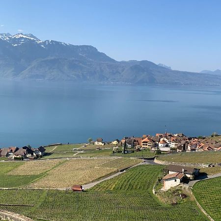 La Gremillette Gourmande Lavaux Apartment Rivaz Exterior foto