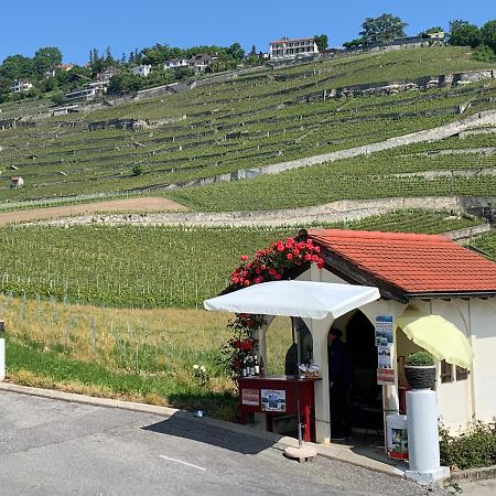 La Gremillette Gourmande Lavaux Apartment Rivaz Exterior foto