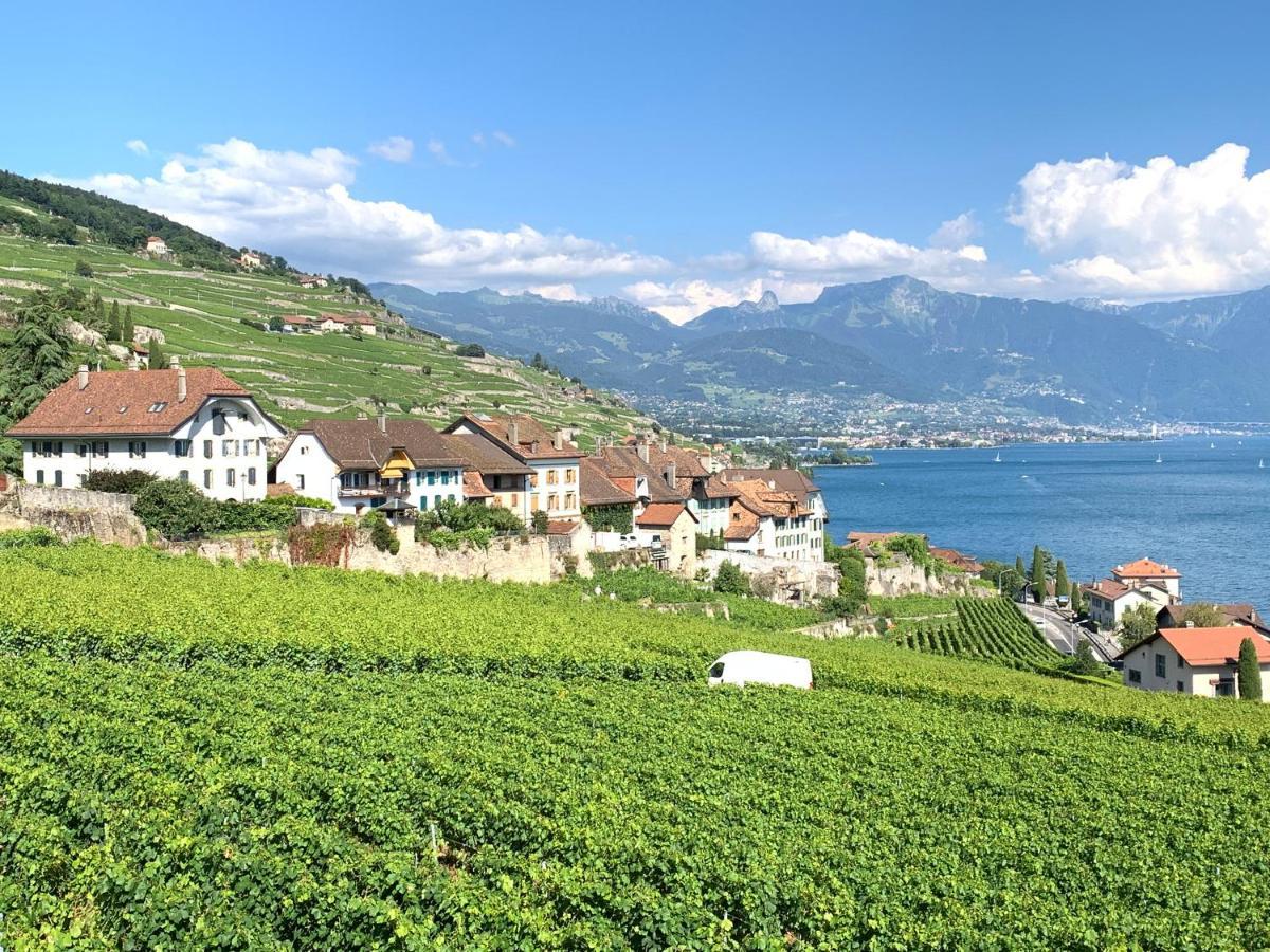 La Gremillette Gourmande Lavaux Apartment Rivaz Exterior foto