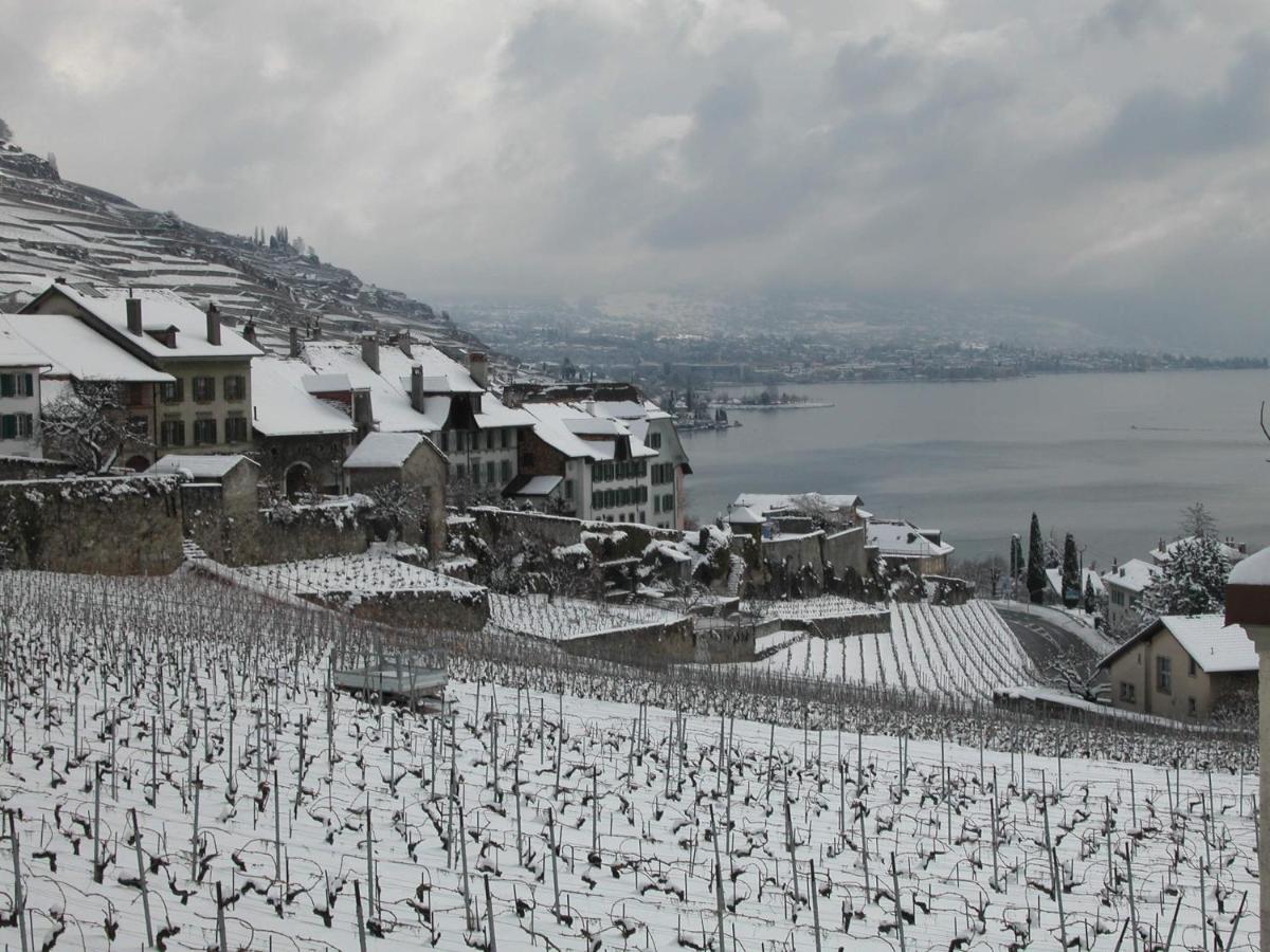 La Gremillette Gourmande Lavaux Apartment Rivaz Exterior foto